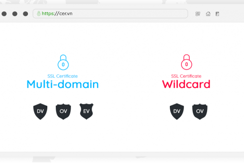 Sự khác nhau giữa chứng chỉ Wildcard và Multi-Domain (SAN/UCC)