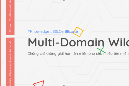 Chứng chỉ Multi-Domain Wildcard là gì?